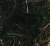 Tof Dubbing Llebre Flash 70% - casapintat - TOF